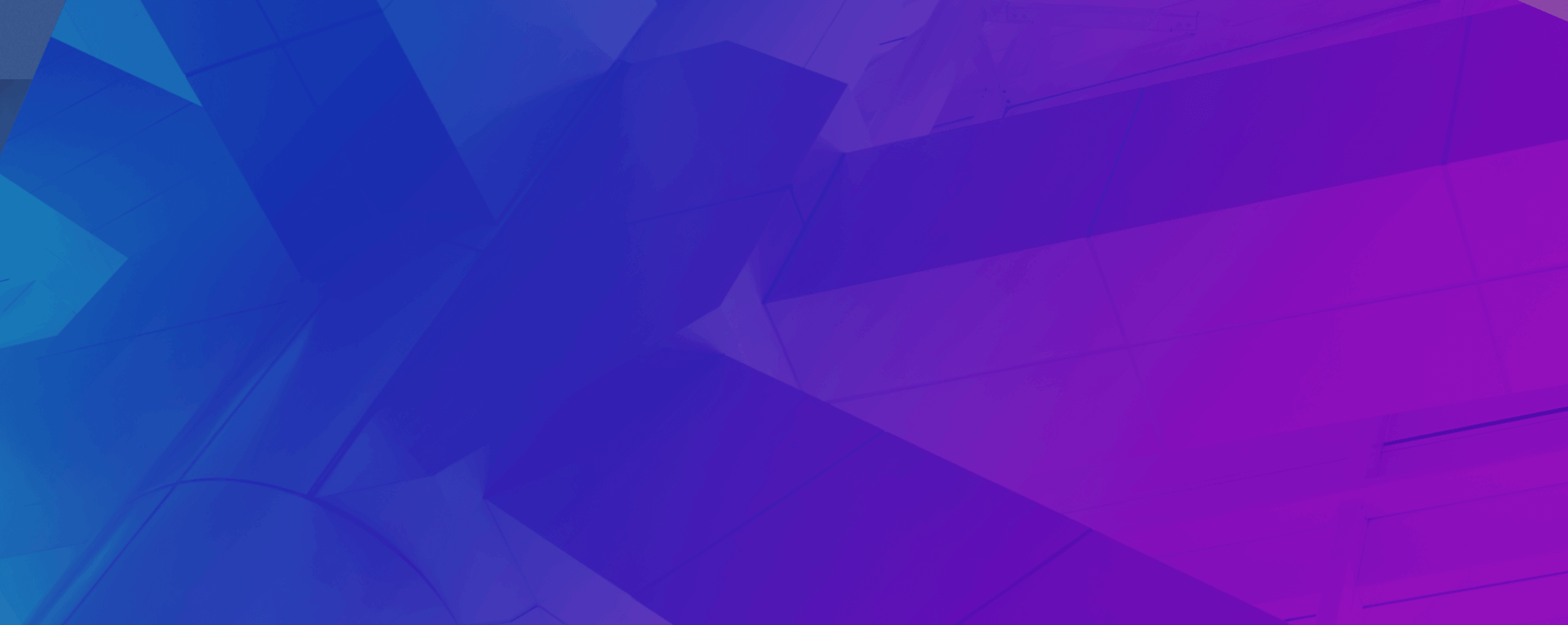 About Us Elite Digital Agency