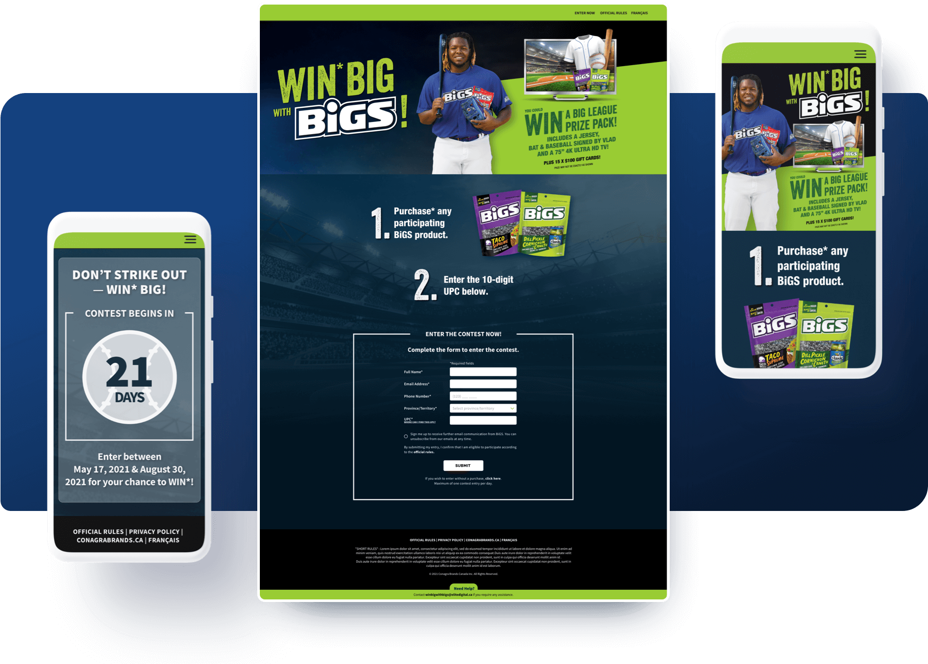 Our Work Contest Marketing BiGS Sunflower Seeds