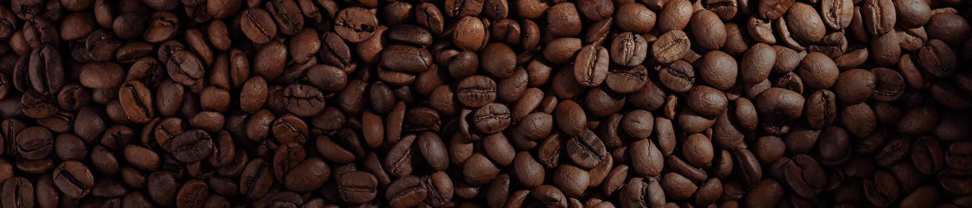 Close-up of dark roasted coffee beans with 'Refreshed and Refined' text overlay, reinforcing Elite Coffee & Vending's premium brand tone.