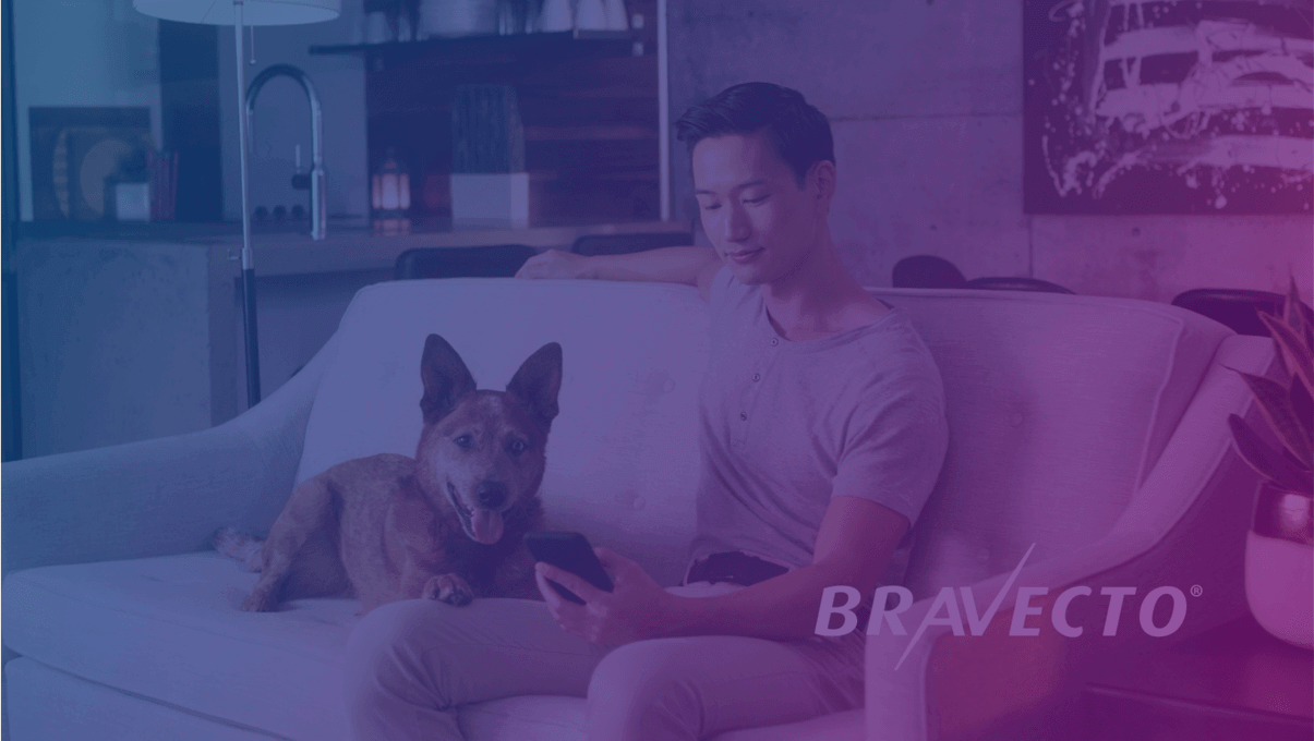 Bravecto clearance german shepherd