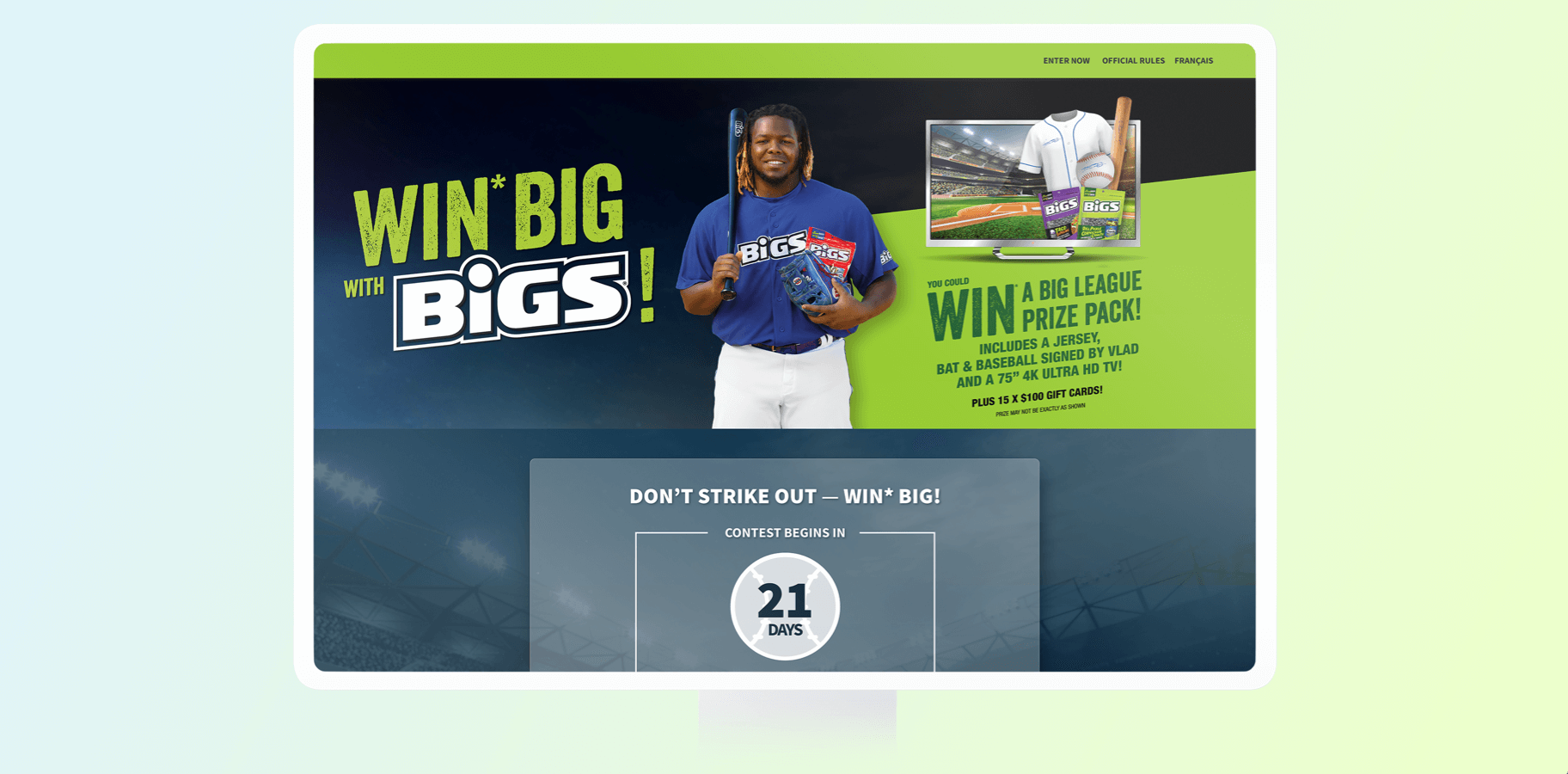 The website that Elite Digital developed for BiGS Sunflower Seeds.