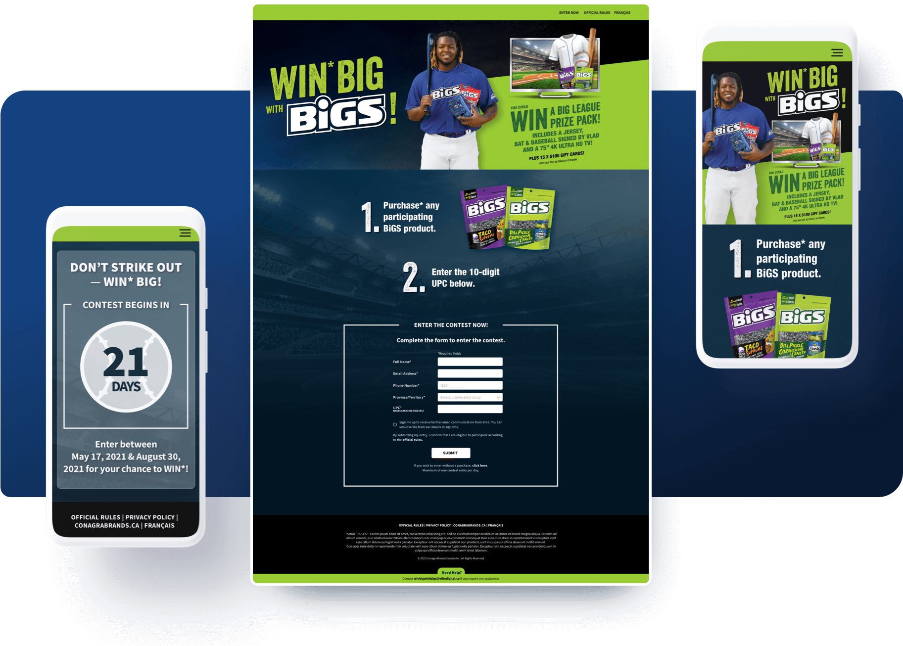BiGS Sunflower Seeds contest pages on desktop and mobile.