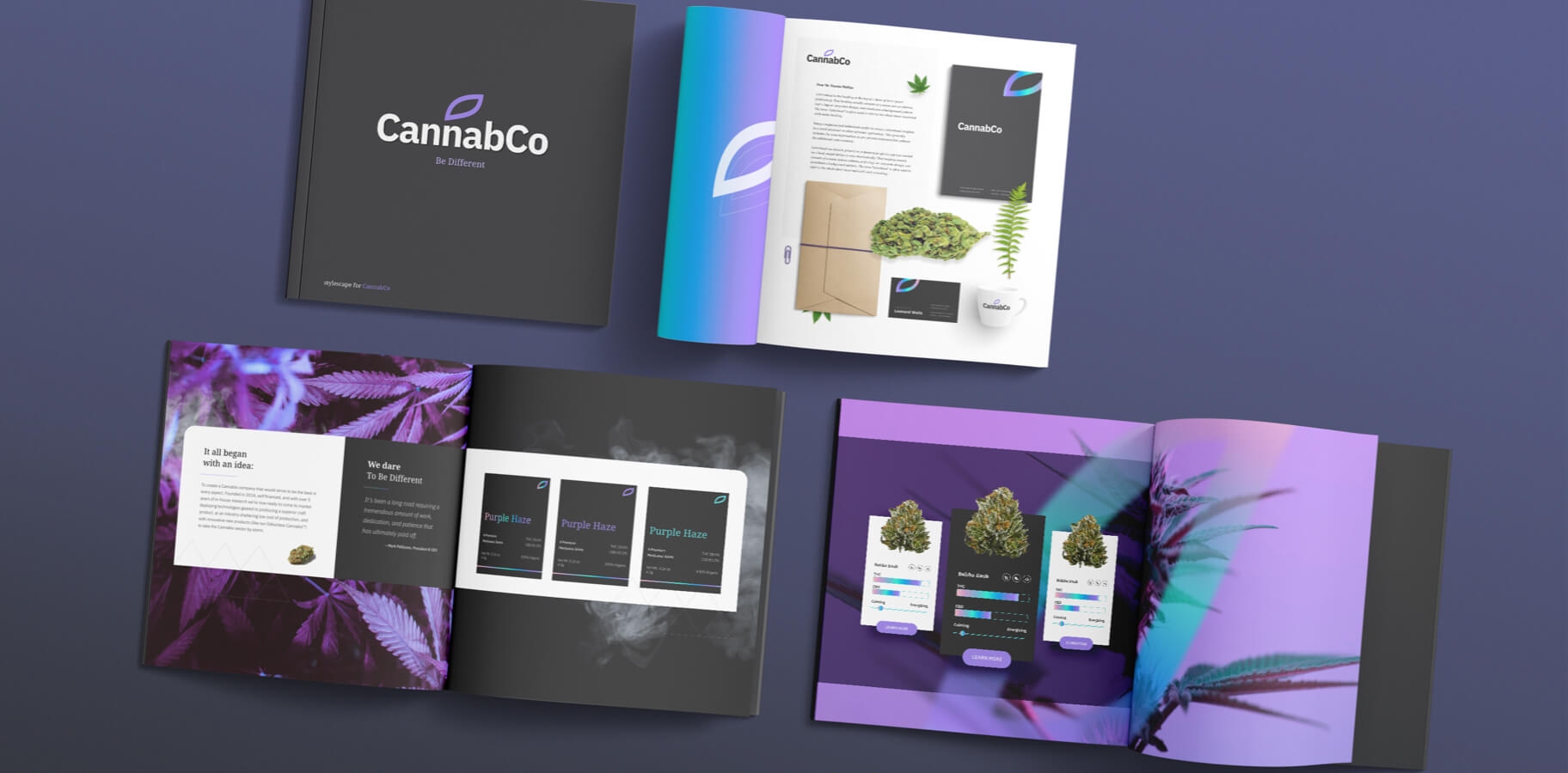 Promotional collateral that Elite Digital created for CannabCo