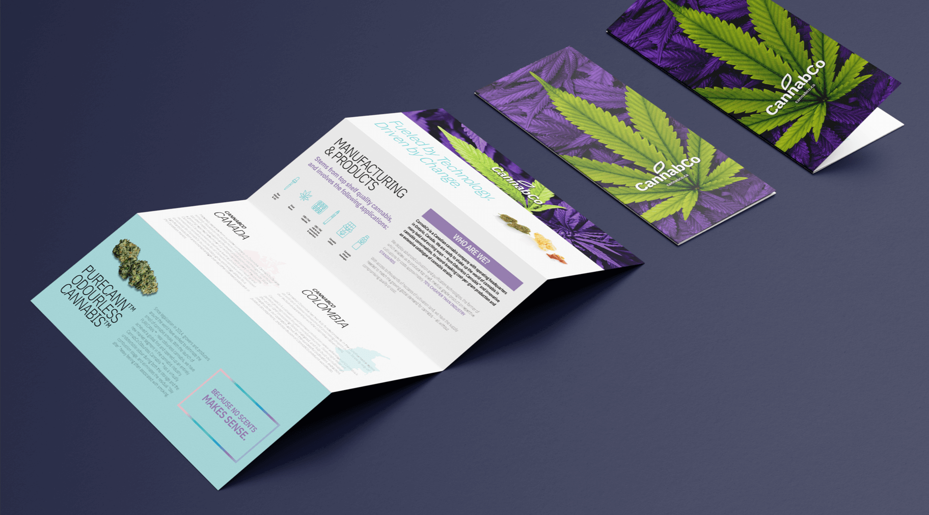 Promotional collateral that Elite Digital created for Cannabco.