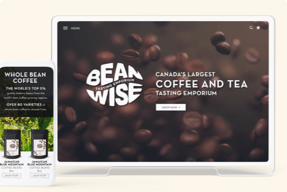 Digital campaigns for Beanwise. Website Design & Development and Digital Campaigns