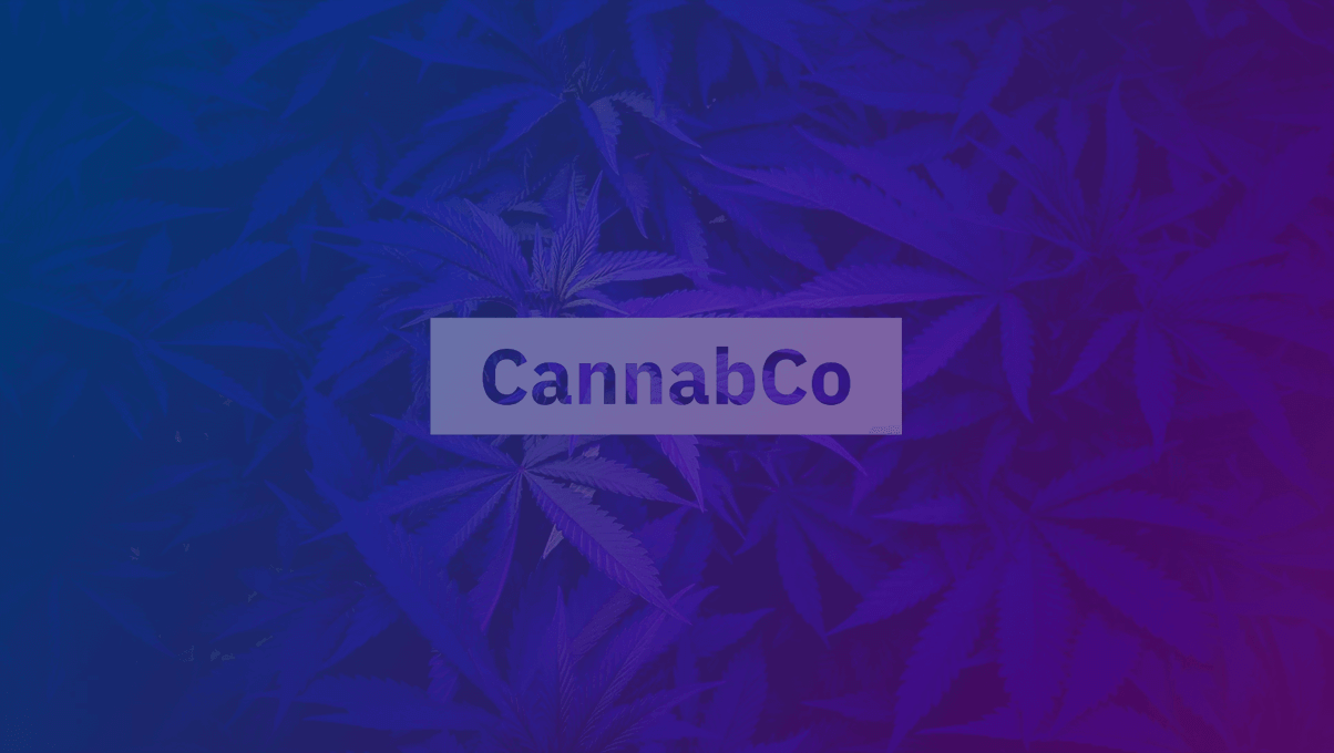 cannabco video preview