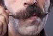 Elite Digital Delivers for Movember Canada with Gold Winning Movember Campaign